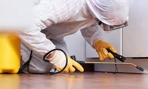 Real Estate Pest Inspections in Schaumburg, IL